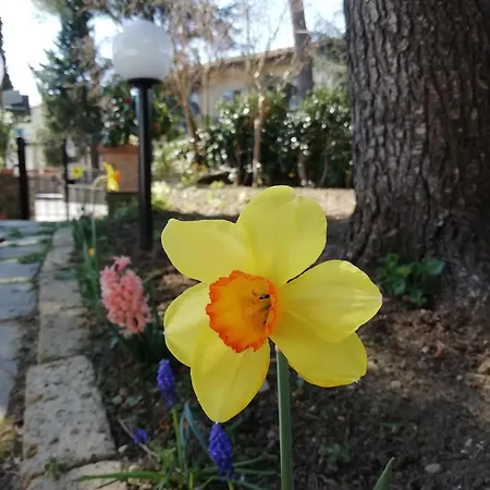 לינה וארוחת בוקר Querceto 3*