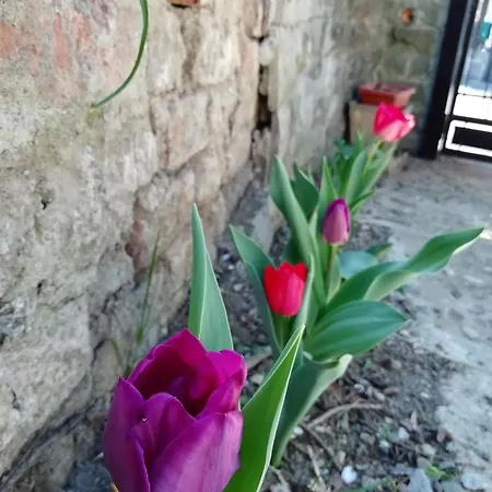 לינה וארוחת בוקר Querceto