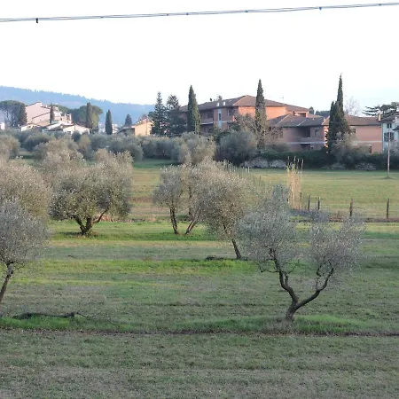 Querceto