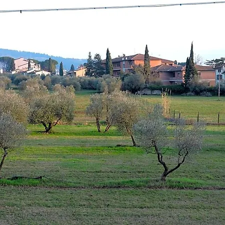 Querceto Sesto Fiorentino